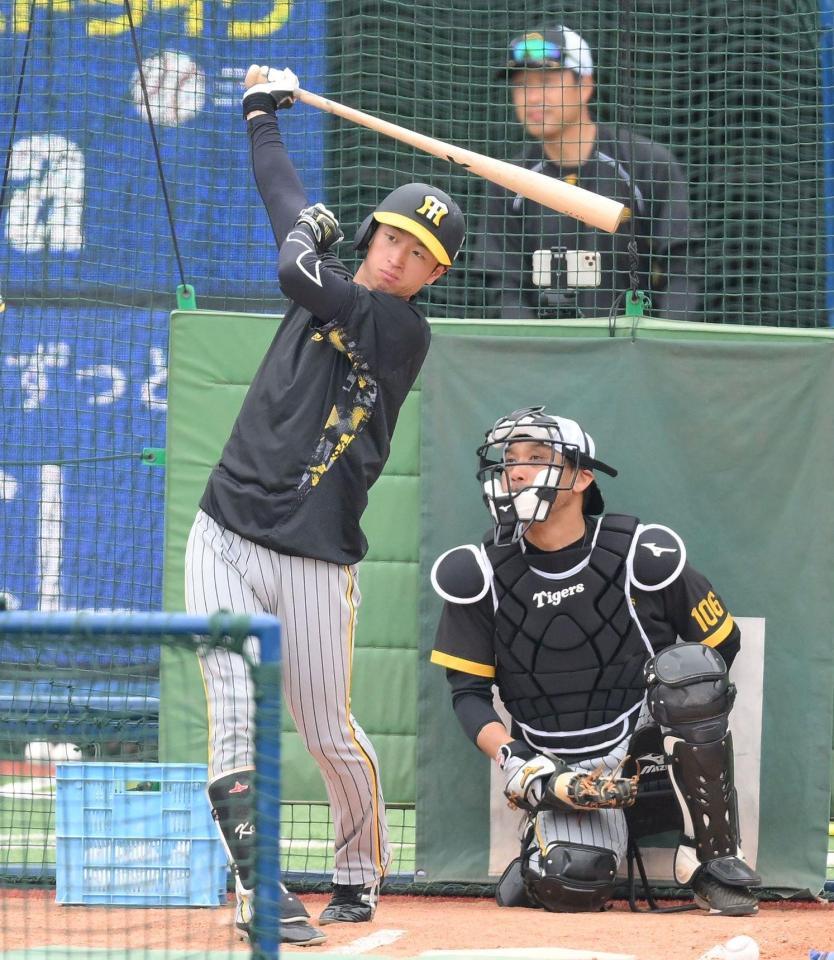 　試合前、快音を飛ばす近本（撮影・伊藤笙子）