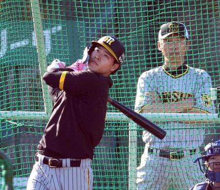 　打撃練習する佐藤輝（撮影・山口登）