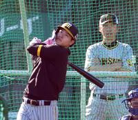 　打撃練習する佐藤輝（撮影・山口登）