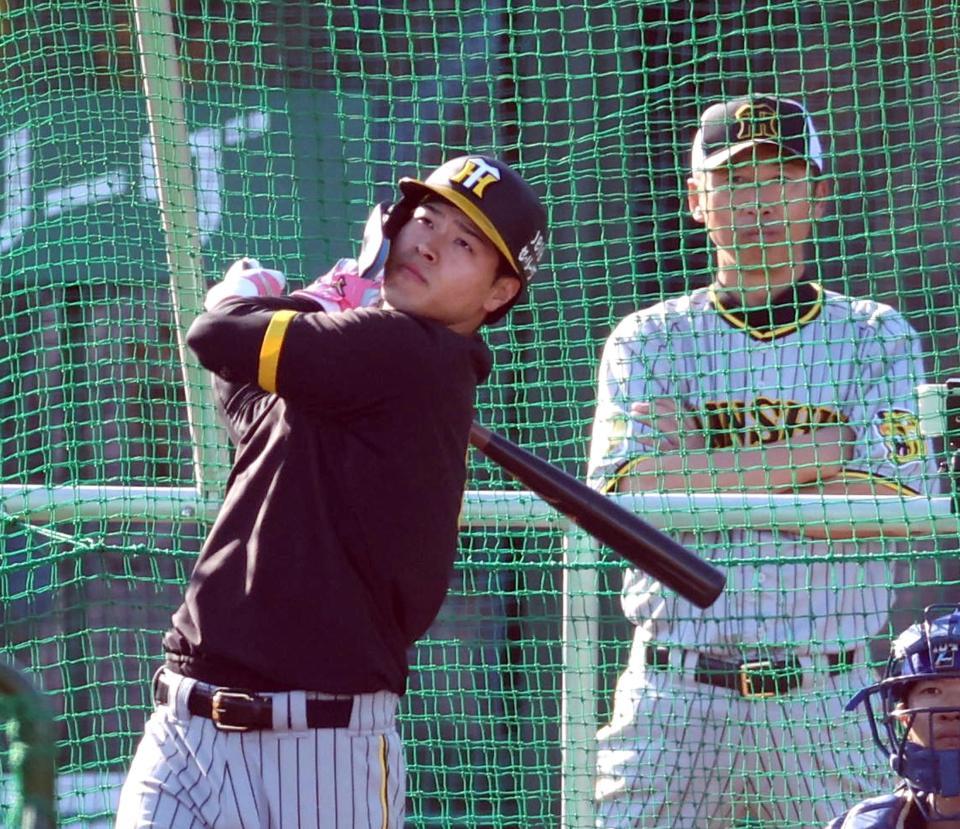　打撃練習する佐藤輝（撮影・山口登）