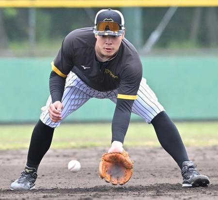 阪神　２軍降格の佐藤輝が２８９球の特守　前日中日戦で痛恨失策　挽回誓い汗流す