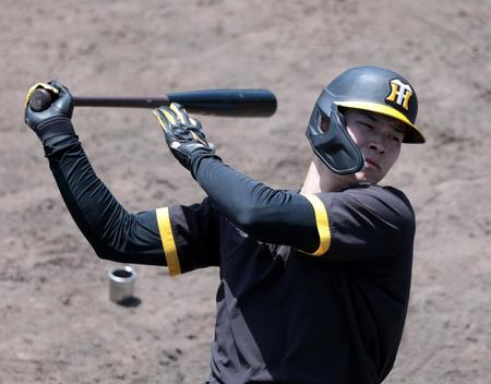 　打撃練習する佐藤輝（撮影・山口登）