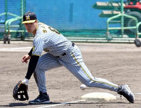 　シートノックを受ける佐藤輝撮影・山口登）