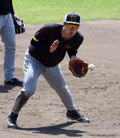 　試合前、ノックを受ける佐藤輝（撮影・山口登）