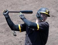 　打撃練習する佐藤輝（撮影・山口登）