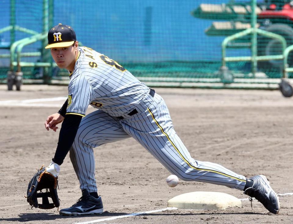 　シートノックを受ける佐藤輝撮影・山口登）