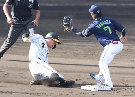 　８回、二塁を陥れる森下（左）＝撮影・中田匡峻