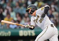 ２回、左前へ安打を放つ阪神・大山悠輔＝甲子園（撮影・田中太一）