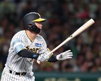 ６回阪神２死一、三塁、中前適時打を放つ阪神・糸原健斗＝甲子園（撮影・中田匡峻）