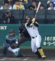 　８回、右前打を放つ森下（捕手は中村）＝撮影・中田匡峻