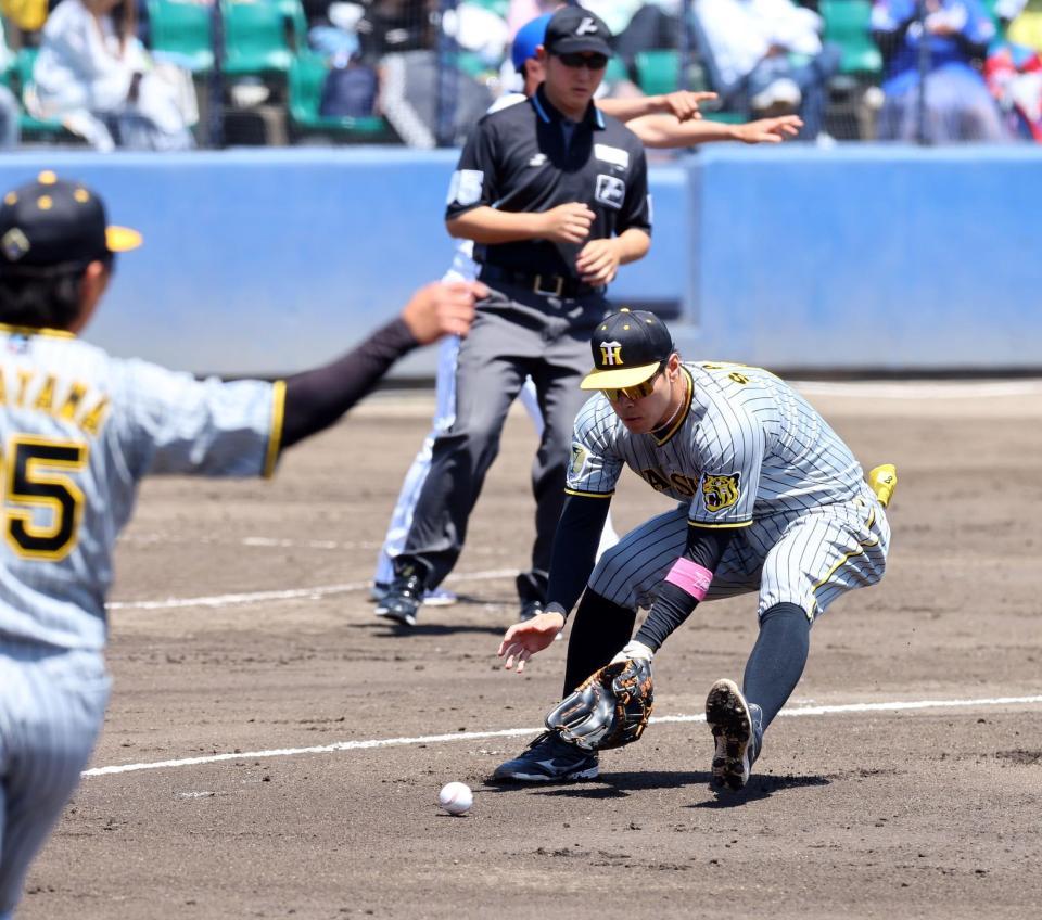 　１回、石垣の送りバントを処理する佐藤輝（撮影・山口登）