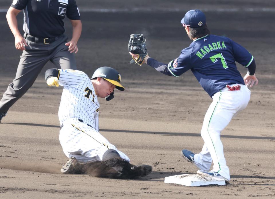 　８回、二塁を陥れる森下（左）＝撮影・中田匡峻