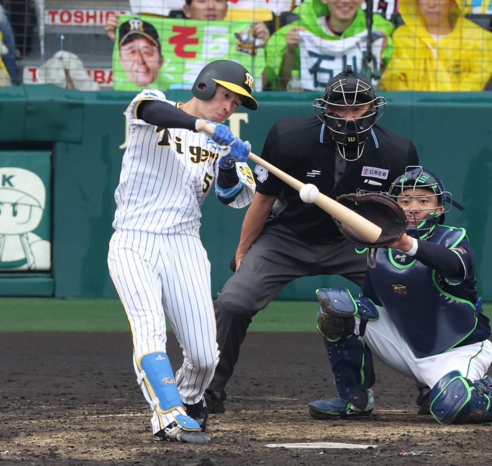 　４回、右前適時打を放つ近本（捕手は中村）＝撮影・中田匡峻