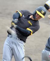 　試合前、ティー打撃を行う佐藤輝（撮影・伊藤笙子）