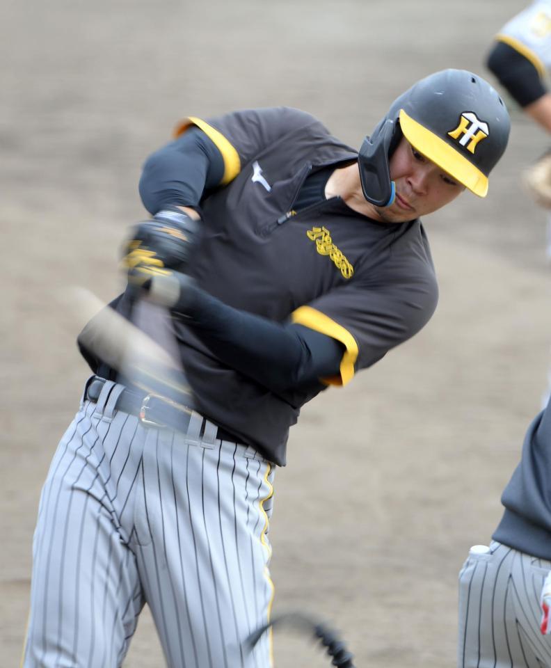 　試合前、ティー打撃を行う佐藤輝（撮影・伊藤笙子）