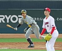 　５回、中前打を放つ近本（撮影・立川洋一郎）