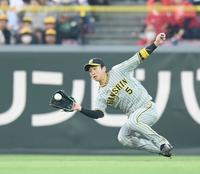 　３回、石原の打球を滑り込みながら捕球する近本（撮影・市尻達拡）