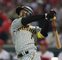 　７回、犠飛を放つ森下（撮影・田中太一）