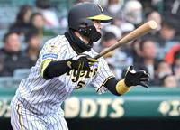 阪神がチャンピオンユニホームを発表 刺しゅうを金糸でデザイン