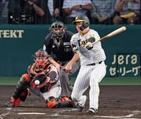 　４回、空振り三振に倒れる大山（撮影・立川洋一郎）