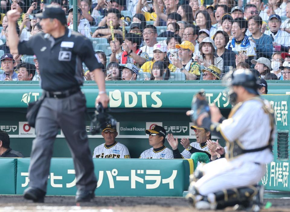 　６回、中野の好守でリクエストが成功、ベンチで大喜びする岡田監督（右奥）＝撮影・田中太一
