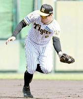 　７回、佐野の打球を好捕（撮影・石井剣太郎）