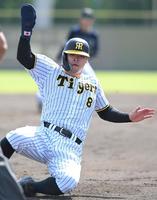 　６回、野口の中飛で三塁に滑り込む佐藤輝＝２５日