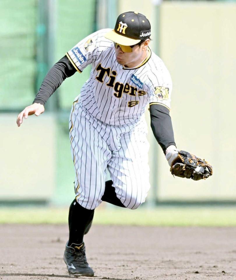 　７回、佐野の打球を好捕（撮影・石井剣太郎）