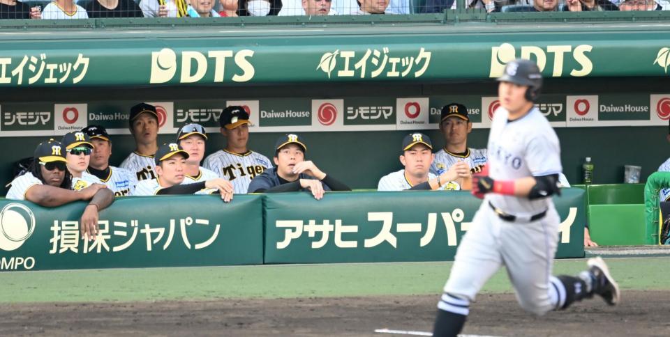 　９回、岡本和の同点ソロにベンチでぼう然とする才木（中央）ら阪神ナイン（撮影・飯室逸平）