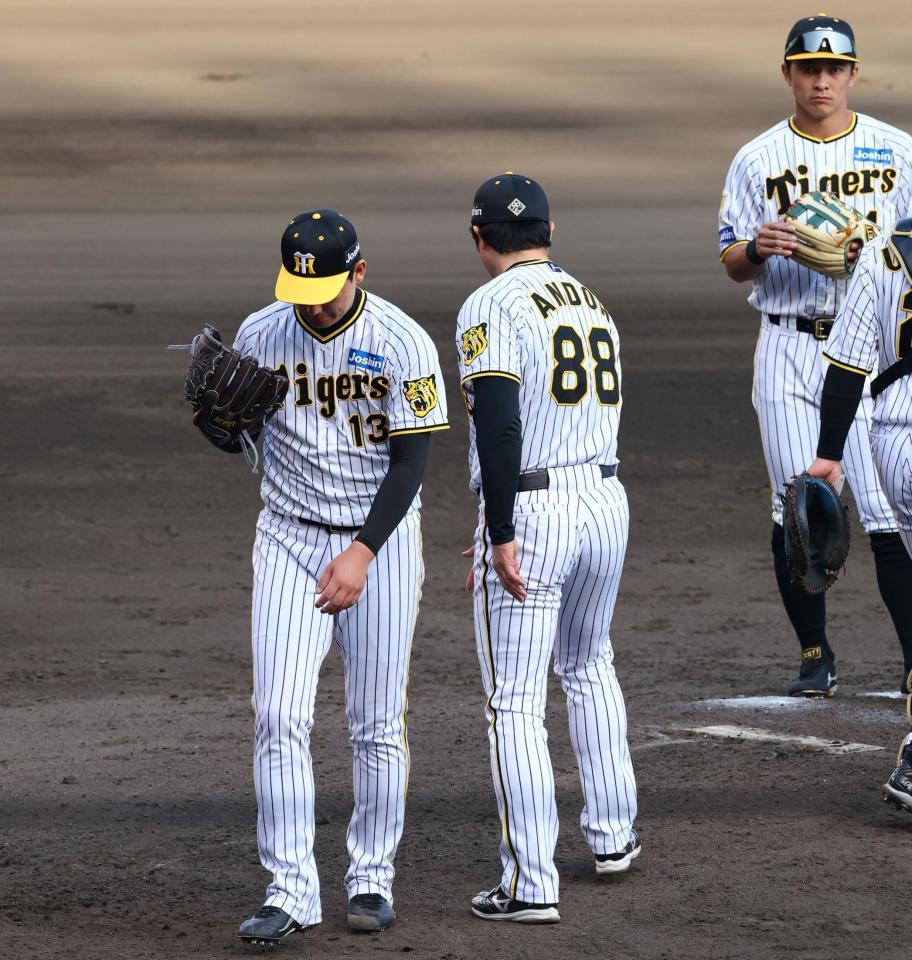 　１０回、勝ち越しを許し降板する岩崎（撮影・山口登）