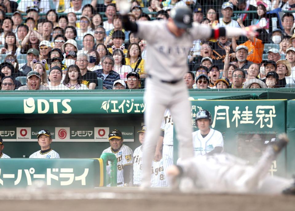 　１０回、丸の犠飛で重信（手前）の生還を見つめる岡田監督（撮影・田中太一）