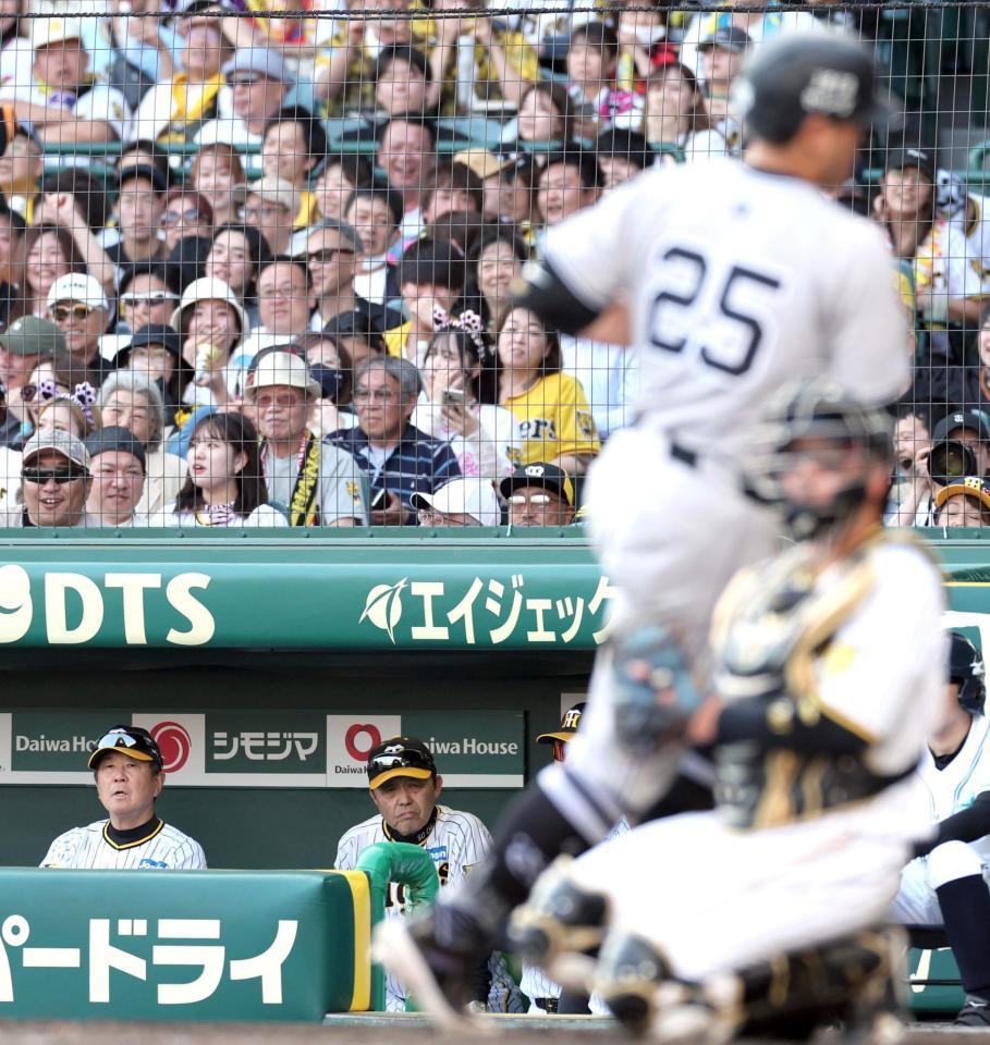 　９回、同点ソロを放った岡本和（手前）を見つめる岡田監督（撮影・田中太一）