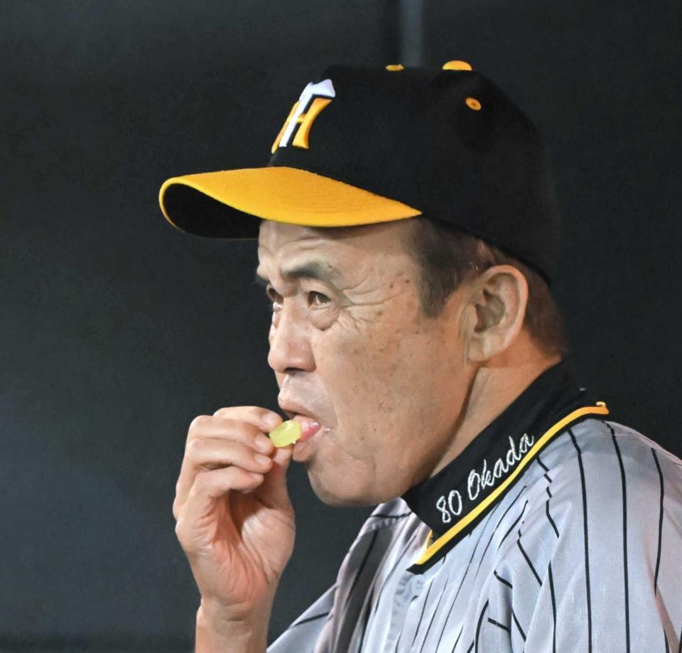 　ベンチでパインアメを頰張る岡田監督=２０２３年８月１７日