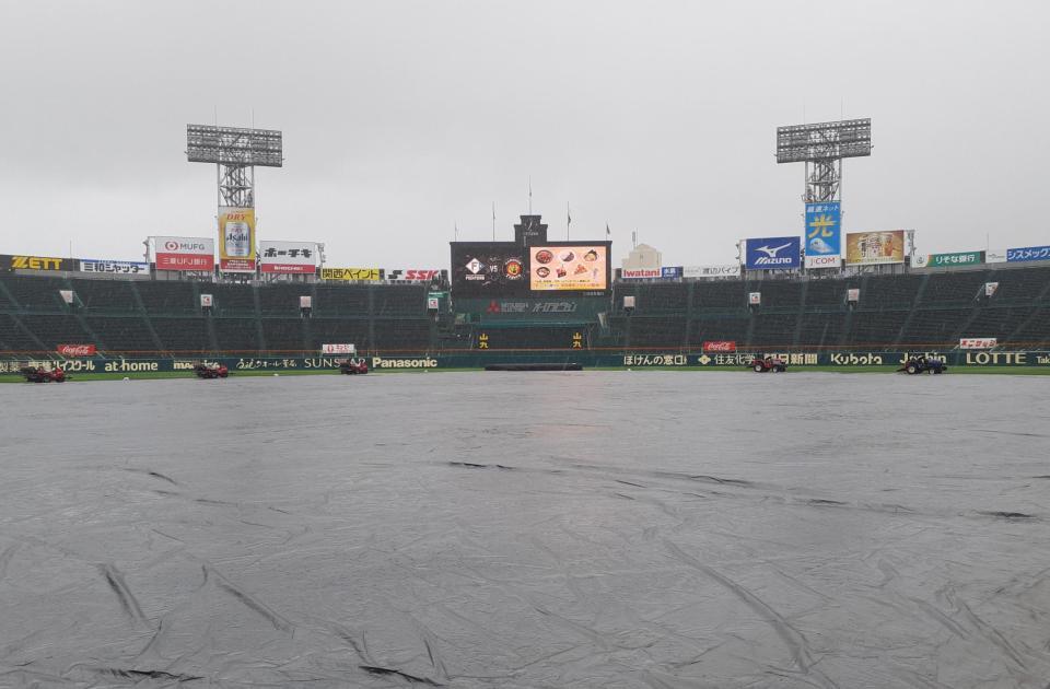 　内野全面にシートが被せられているグラウンド（撮影・田中太一）