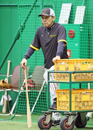 　ナインの練習を見守る岡田監督（撮影・立川洋一郎）