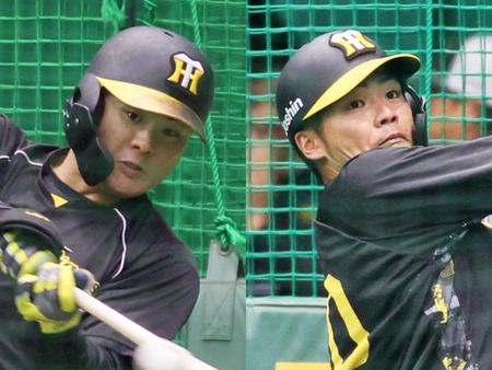 阪神・前川＆小野寺　ノイジー不在で左翼争い　交流戦アピール合戦