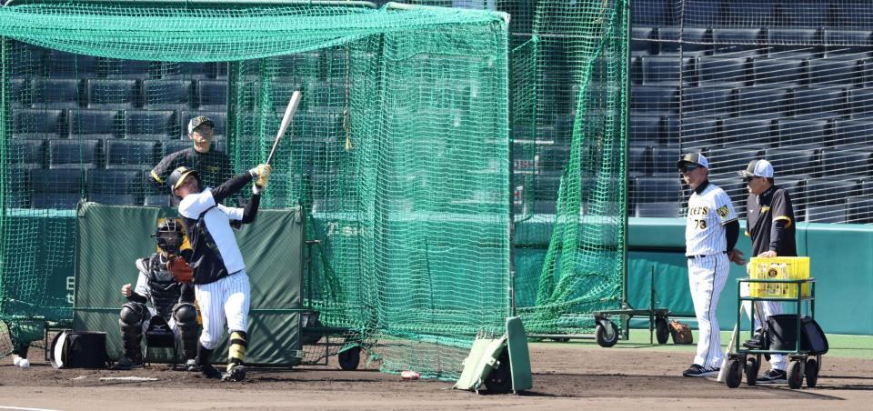 　岡田監督（右端）が見守る中、打撃練習をする森下（撮影・中田匡峻）