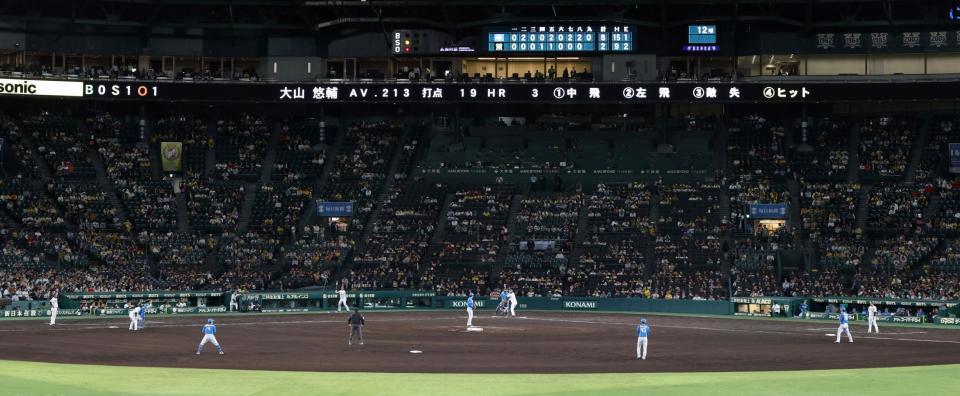 　９回、閑散とするスタンドの中、打席に立つ大山（撮影・中田匡峻）