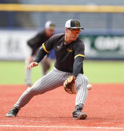 　守備練習する佐藤輝（撮影・金田祐二）