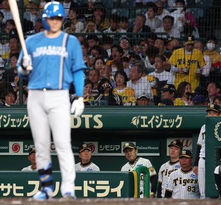 　４回、打席に向かう山崎を前にベンチで険しい表情の岡田監督（中央）＝撮影・中田匡峻