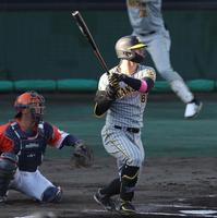 　６回、中前適時打を放つ佐藤輝