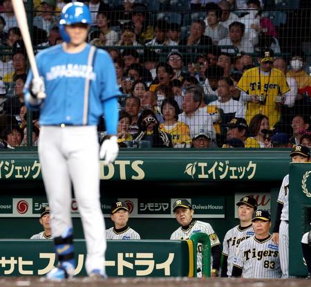 　４回、打席に向かう山崎を前にベンチで険しい表情の岡田監督（中央）＝撮影・中田匡峻