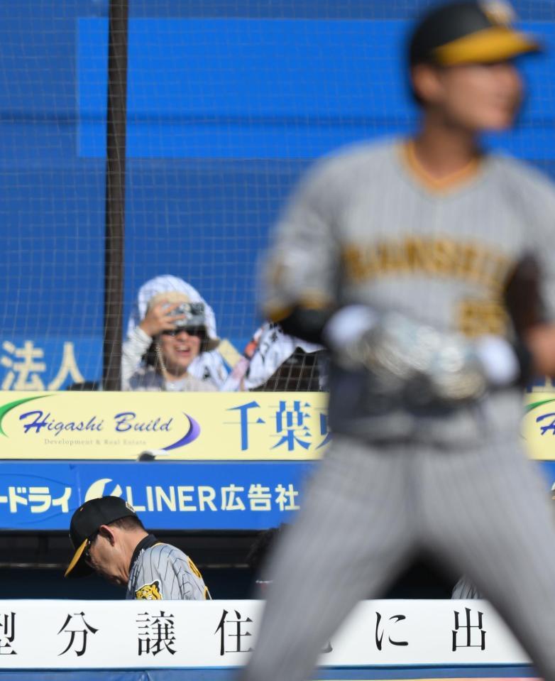 　６回、渡辺が見逃し三振に倒れ、うつむく岡田監督（撮影・伊藤笙子）