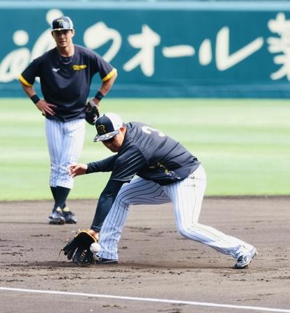 　三塁でノックを受ける大山（撮影・山口登）