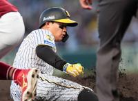 　４回、適時打を放ち三塁へ滑り込む森下（撮影・立川洋一郎）