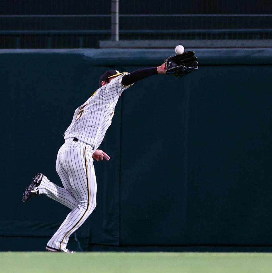 　６回、渡辺佳の飛球を好捕する近本（撮影・山口登）