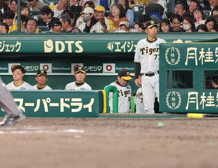 　楽天に３タテを食らい、ベンチから引き揚げる岡田監督（右から２人目）＝撮影・田中太一