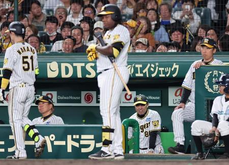 　８回、代打のミエセスをベンチに下げ、糸原を送り込むも無失点に終わる（撮影・田中太一）