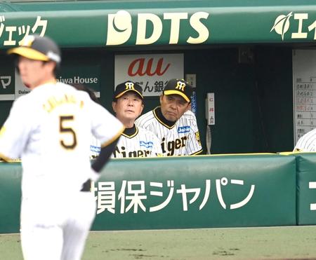 　２回、ベンチで厳しい表情の岡田監督（撮影・飯室逸平）