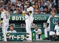 　８回、代打のミエセスをベンチに下げ、糸原を送り込むも無失点に終わる（撮影・田中太一）